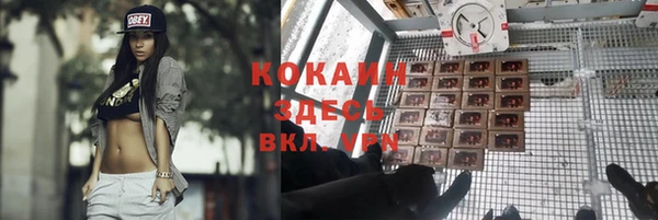 крисы Гусев