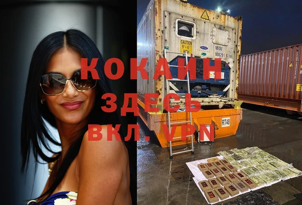 крисы Гусев