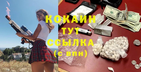 крисы Гусев
