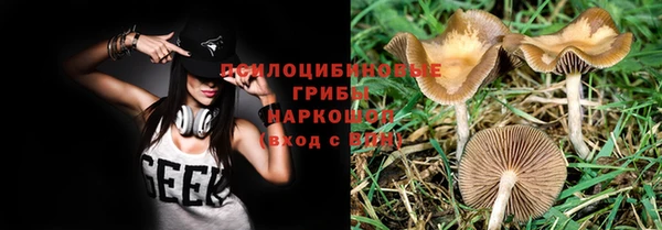 крисы Гусев