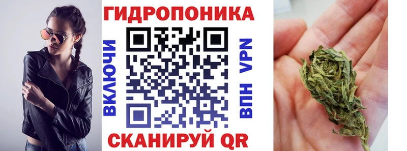 Купить закладки  Серпухов  Канабис ГИДРОПОН 